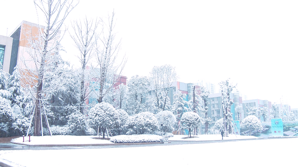 雪景1.jpg